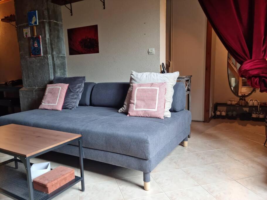 Chateau D'Uriage - Duplex Avec Terrasse Privative 생 마르탱 듀리아쥬 외부 사진