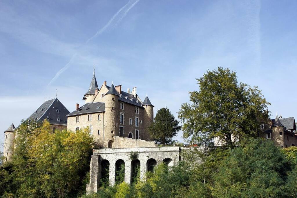 Chateau D'Uriage - Duplex Avec Terrasse Privative 생 마르탱 듀리아쥬 외부 사진