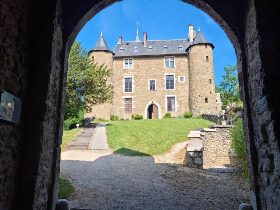 Chateau D'Uriage - Duplex Avec Terrasse Privative 생 마르탱 듀리아쥬 외부 사진